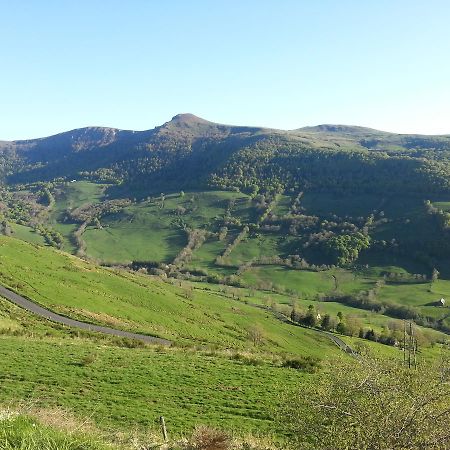 Auberge Du Col De Neronne Hotel Le Falgoux Kültér fotó